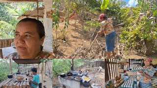 como cuida do pomar iniciante em tempos de seca + fartura de ovos caipira e  lipesa no sítio