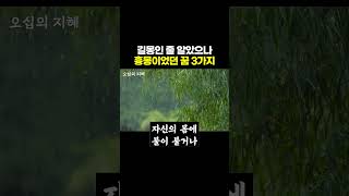 길몽인 줄 알았던 흉몽 꿈 3가지