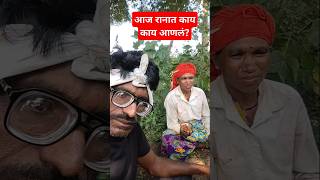 बघा आज रानात काय काय आणलं रानातील दुपारचे जेवण #uttamsumitravlogs #shortsfeed #farming #vlog