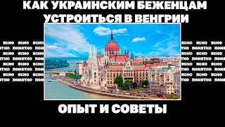 Как украинским беженцам устроиться в Венгрии. Опыт и советы | ЯсноПонятно #1646