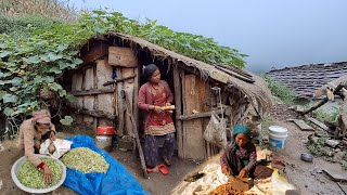 Most Relaxing Nepali Mountain Village Traditional Life of Nepal | Daily Activities of Village People