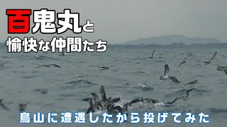 鳥山に投げてみた！！　ジギング　ナブラ