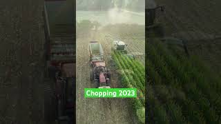 Corn Silage Chopping 2023