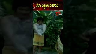 నేను వచ్చింది నీ కోసమే #ytshorts #shots #comedy #telugumovies #comedyscenes #funny | Navvula TV