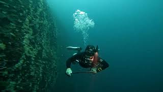 @team_max_lee marigondon cave tech sidemount    Decompression Diving  / 마리곤돈 케이브 텍 사이드마운트 감압다이빙