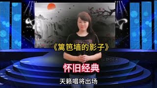 怀旧经典《篱笆女人和狗》主题曲#篱笆墙的影子歌曲 #音乐分享【雷雷愛音樂】