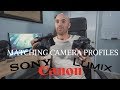 How to match camera profiles when shooting with a GH5 and a Sony a6500 or Canon camera