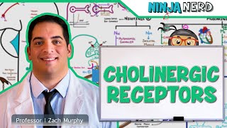 Neurology | Cholinergic Receptors