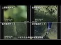 福島第一原発１号機　鉄筋むき出しの圧力容器土台の状況