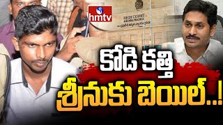 కోడి కత్తి శ్రీనుకు బెయిల్..! | Bail Granted To Kodi Kathi Srinu | CM Jagan | hmtv