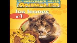 El maravilloso mundo de los animales de Disney: Los leones