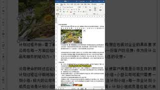 设置WORD文档中的图片随机摆放 #office #word