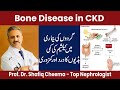 Bone Pains & Weakness in CKD | Calcium Deficiency | Prof Shafiq Cheema