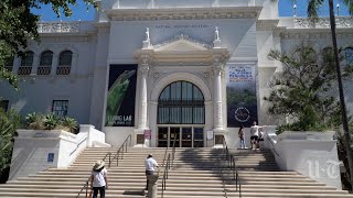 The San Diego Natural History Museum’s new exhibit explores beautiful Baja California