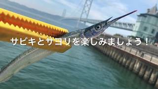 fishingmax垂水店7/13アジュール サヨリは‼︎