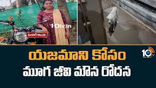 Dog waiting for owner : యజమాని కోసం మూగ జీవి మౌన రోదన | 10TV