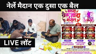 नेर्ले मैदान एक दुसा एक बैल LIVE लाॅट