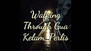 Walking Through Gua Kelam, Perlis.