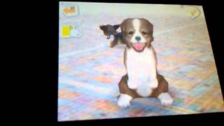 Nintendogs how to teach beg!