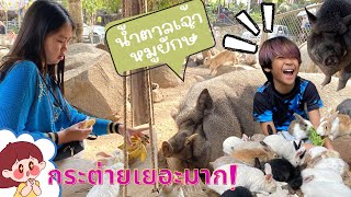 EP.98 วัดพระพุทธบาทภูควายเงิน เชียงคาน เลย