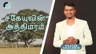 சகேயுவின் அத்திமரம் | Pastor Gracewin | #PGM