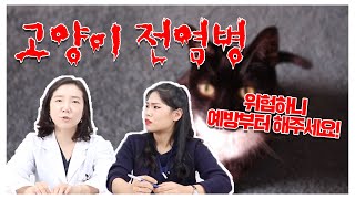 걸리면 큰일나는 고양이 전염병이 있다! [동물정보잇슈issue]