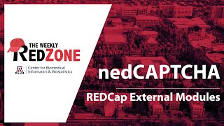 REDZone - nedCAPTCHA
