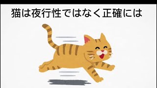 猫好きでも98%の人が知らない猫に関する面白い雑学