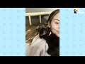 rescued kitten becomes one of the girls the dodo cat crazy