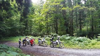 2021/7/12 オフ車で林道ツーリング！櫛ヶ峯林道は雨だった・・・。青森県　セロー225