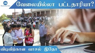 கொட்டிக் கிடக்கும் வாய்ப்புகள் | Job Vacancies | The Rise - வேலைவாய்ப்பு