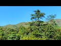 kyatanamakki hills