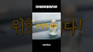 대시보드에 아무것도 올려놓지 마! #shorts