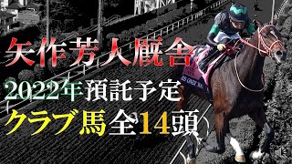 【祝BC制覇！】矢作芳人厩舎に来年入厩予定のクラブ馬14頭を紹介します！【pog22-23】