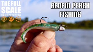 Fishing For Redfin Perch | The Full Scale