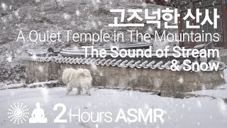 ASMR, 숙면, 깊은 잠, 눈 내리는 고즈넉한 산사, 차우차우, A quiet temple in the snow, chow chow