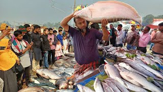 ২৫০ বছরের পুরনো গাজীপুরের কালীগঞ্জে ঐতিহ্যবাহী  বিনিরাইল মেলা || মাছের মেলা || fish fair