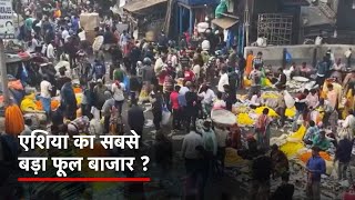 Kolkata का ये Flower Market है फूल खरीदारों के लिए One Stop Destination