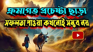 সেরা গল্প || ক্রমাগত প্রচেষ্টা ছাড়া সফলতা আসা কখনোই সম্ভব নয় | #banglagolpo #viralstory