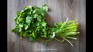 How To Keep Cilantro Fresh (for weeks in the fridge)