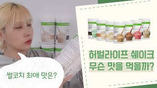 허벌라이프 단백질쉐이크 맛 선택이 고민될 때