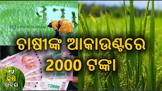 କୃଷି ଖବର | ପାଣିପାଗ | ଜୈବିକ ଚାଷ | agriNews |OdishaUpdate|OdishaNews