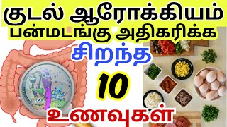 குடல் ஆரோக்கியமாக இருக்க உணவுகள்/ gut health diet/ gut health foods tamil/ kudal arogyam tips tamil