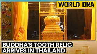 Thailand Receives Buddha's Sacred Tooth Relic Amid Celebrations | World DNA