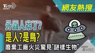 外星人來了? 是人?是鳥? 廢棄工廠火災驚見「謎樣生物」｜TVBS新聞