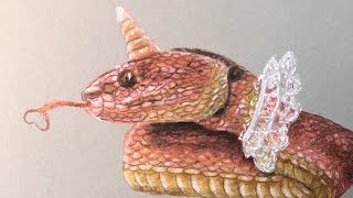 New Drawing - Snake (Part 2) - Colorpencil, A4 | Malen Waa