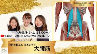 「大腰筋のセルフ整体」しなやかな体幹を手に入れる！何をするにもまず大腰筋〜筋肉がふわっと柔らかくなるミオンパシー|一緒にゆるめるセルフ整体LIVE 股関節ケア基本のキ！#1