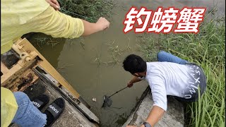 【阿牛赶海】 不捞鱼不摸虾，阿牛带你去钓螃蟹，来一道姜葱炒螃蟹