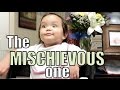 The MISCHIEVOUS One! - February 18, 2016 -  ItsJudysLife Vlogs