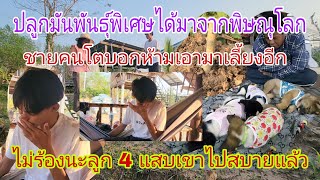 4 แสบหายไปไหน?comment ถามเยอะเหลือเกิน!น้องอั๋นเล่าทั้งน้ำตา!!